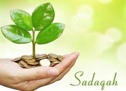 sdaqa